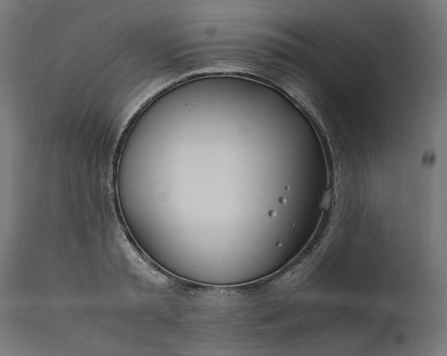 X0000111490797200907281226