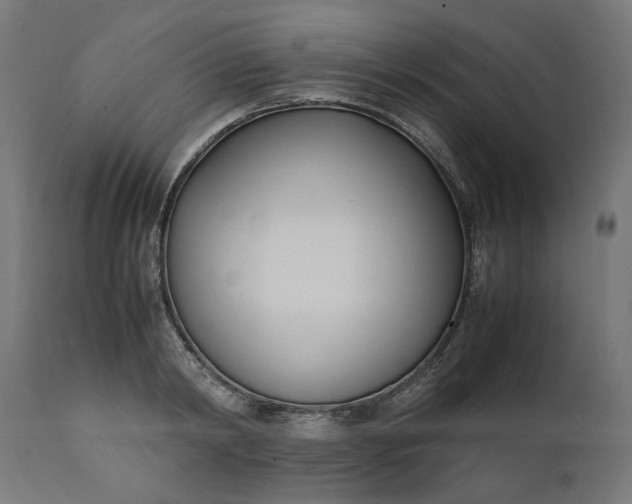 X0000111490798200907281226