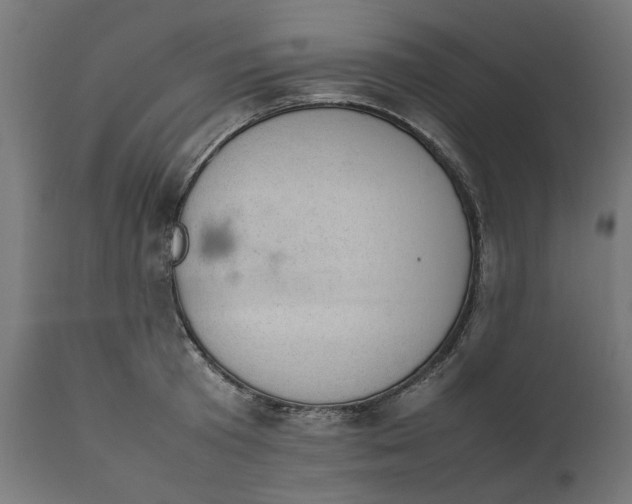 X0000111490801200907281226