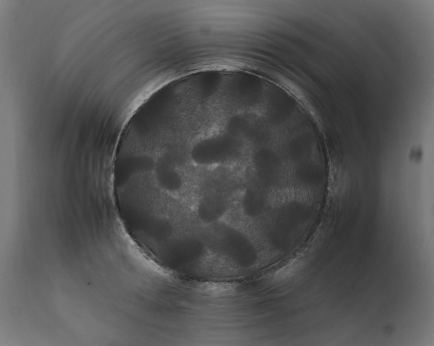 X0000111490802200907281226