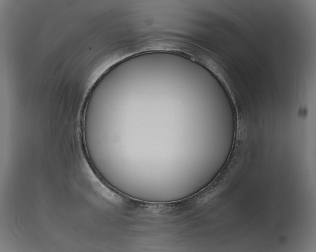 X0000111490803200907281225