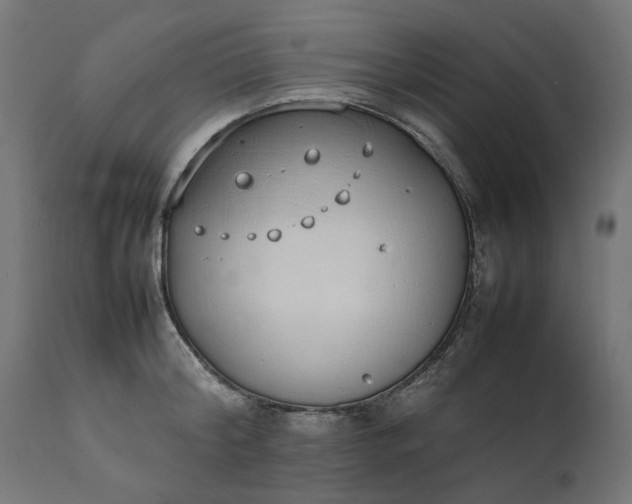 X0000111490804200907281225