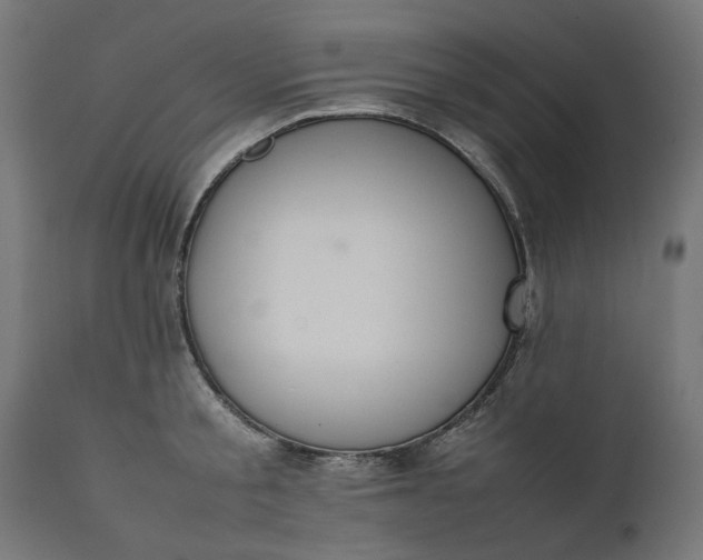 X0000111490805200907281225