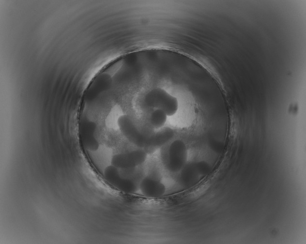 X0000111490806200907281225