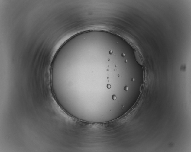 X0000111490808200907281225