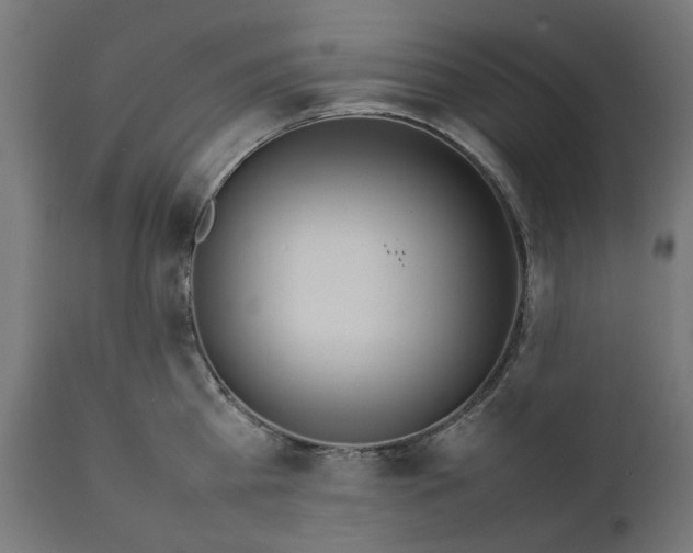 X0000111490809200907281225