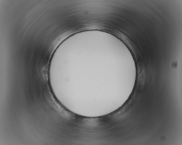 X0000111490810200907281225