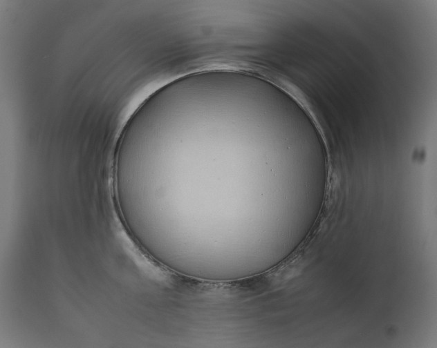 X0000111490811200907281225