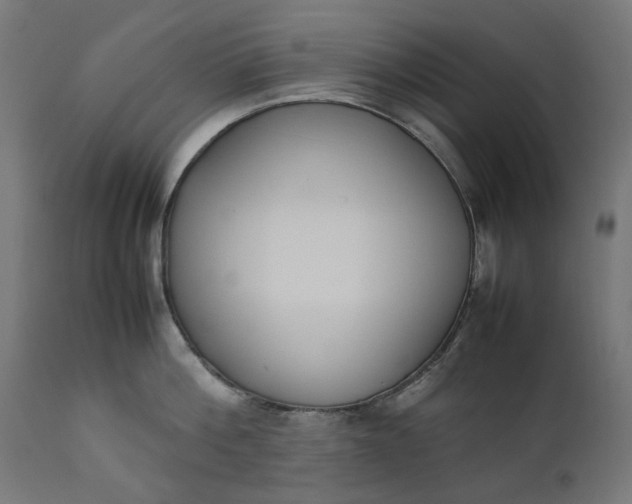 X0000111490812200907281225