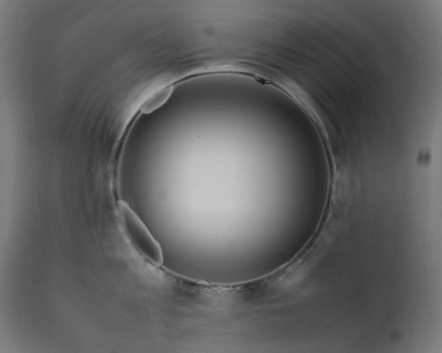 X0000111490813200907281225