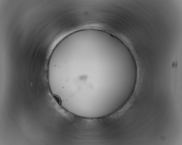 X0000111490816200907281225