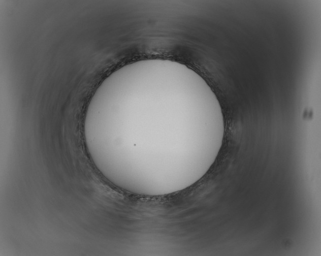 X0000111490817200907281225