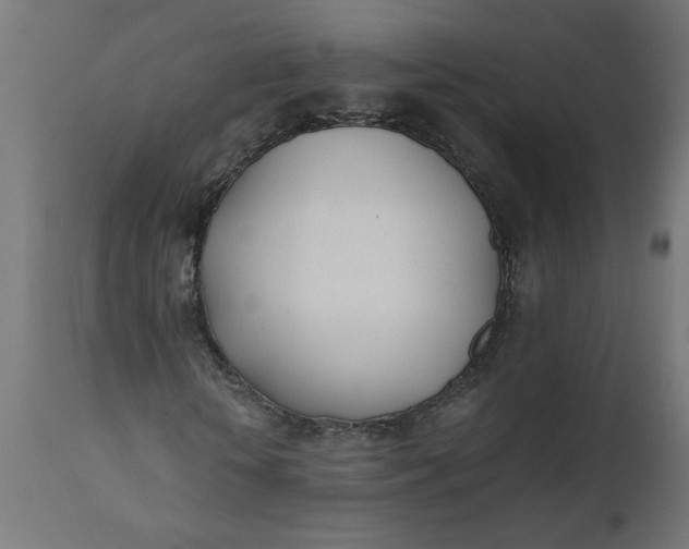 X0000111490818200907281225