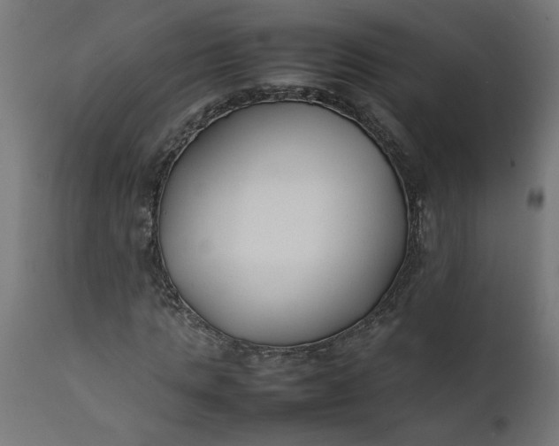 X0000111490821200907281225