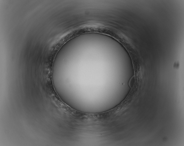 X0000111490822200907281225