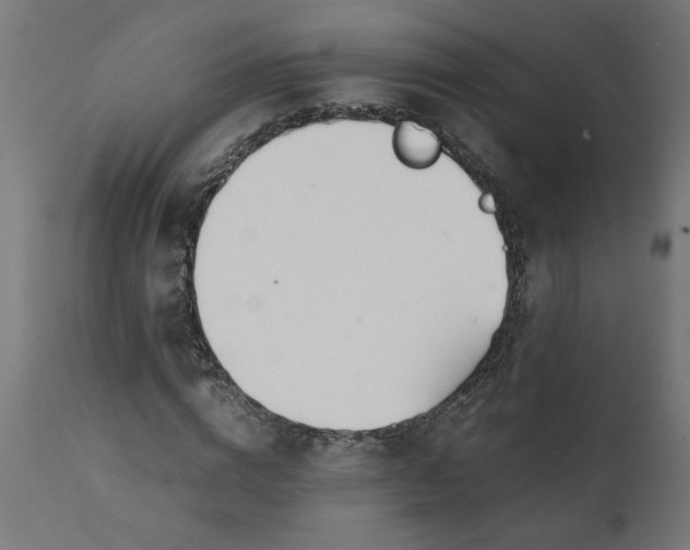 X0000111490824200907281225