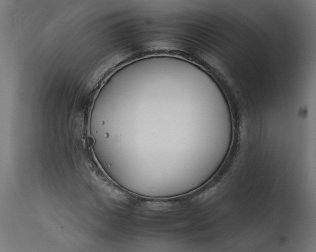 X0000111490825200907281225