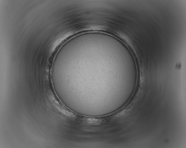 X0000111490827200907281225