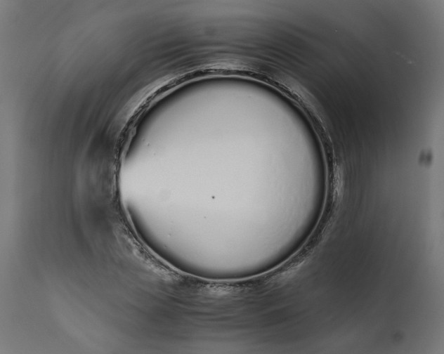 X0000111490829200907281225