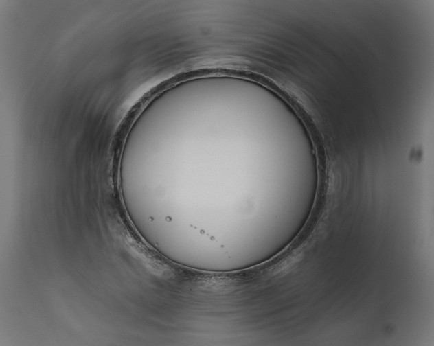 X0000111490830200907281225