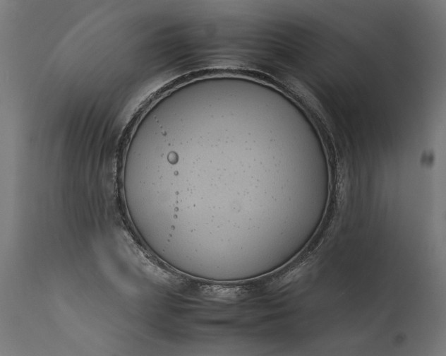 X0000111490831200907281225