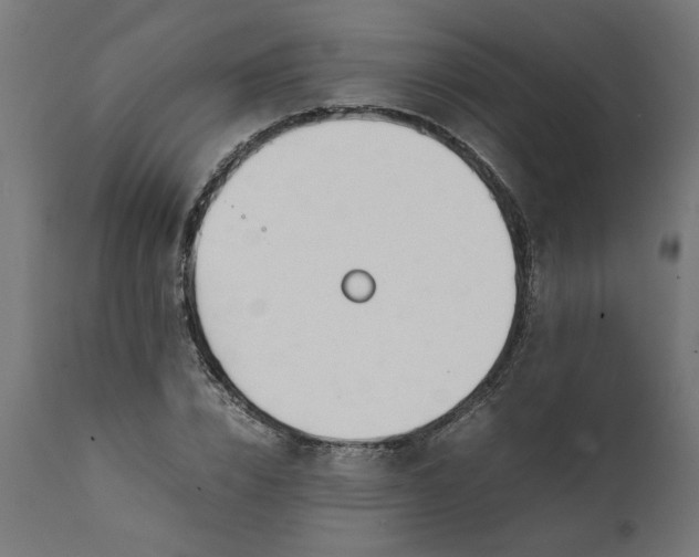 X0000111490832200907281225