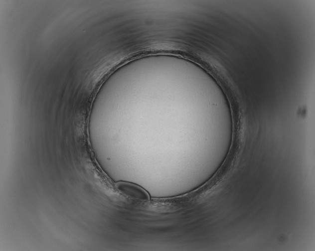 X0000111490833200907281225