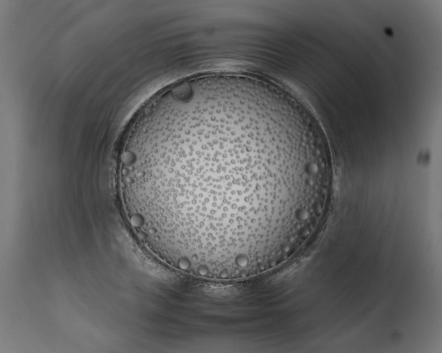 X0000111490835200907281225