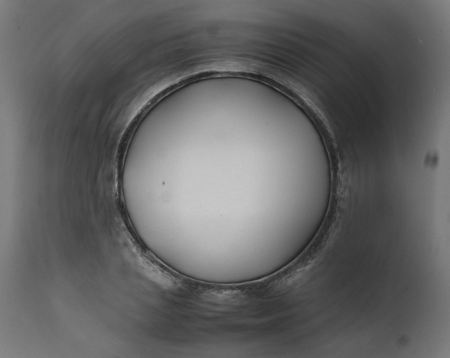 X0000111490837200907281225