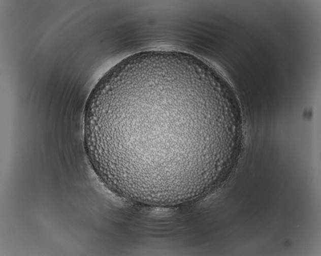 X0000111490839200907281225