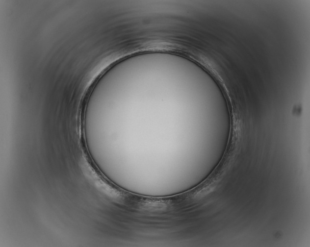 X0000111490843200907281225