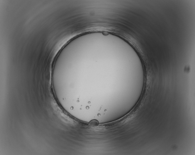 X0000111490844200907281225