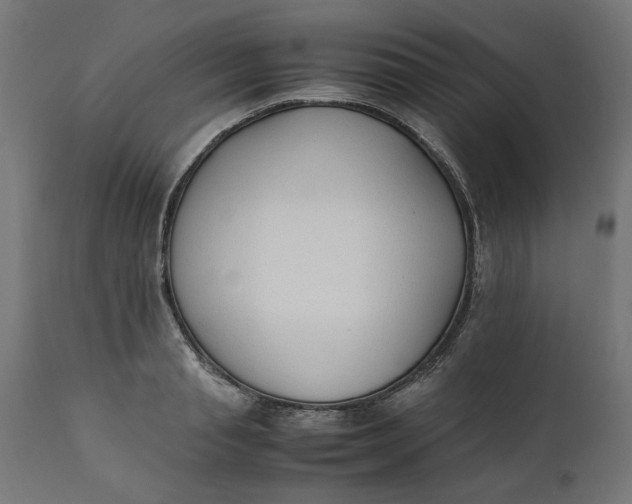 X0000111490845200907281225