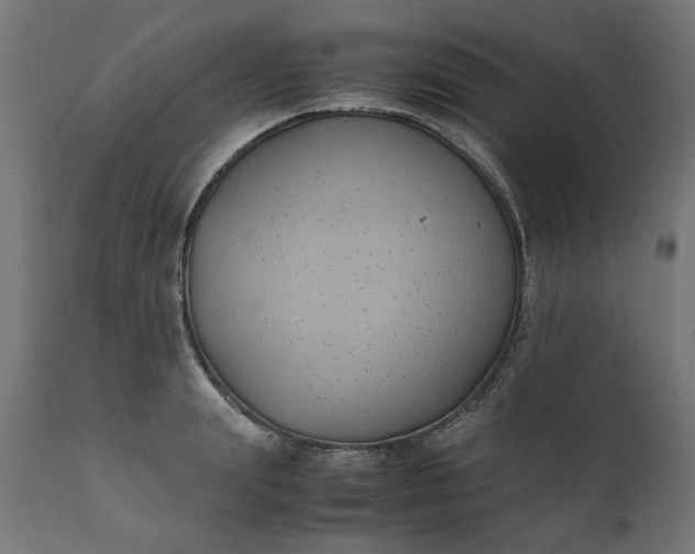 X0000111490847200907281225