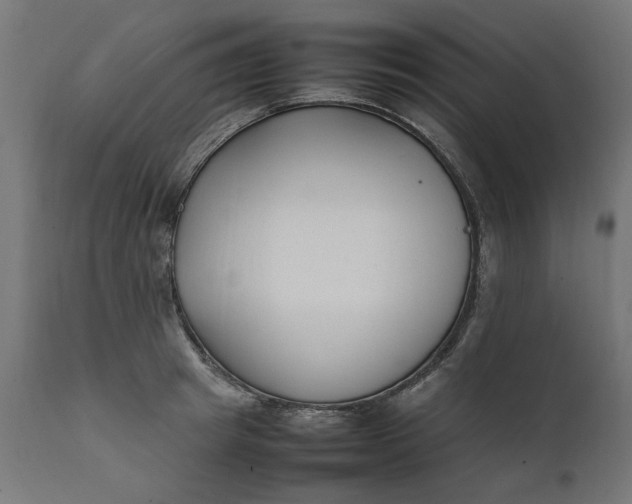 X0000111490849200907281225