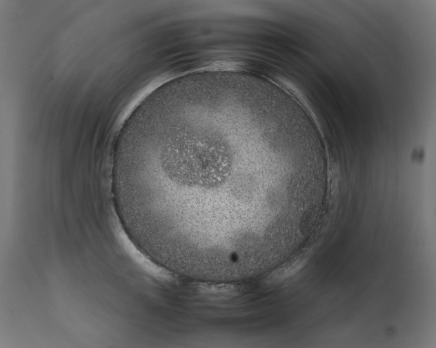 X0000111490851200907281225