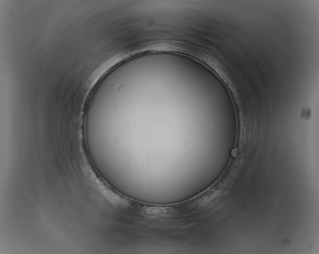 X0000111490853200907281225