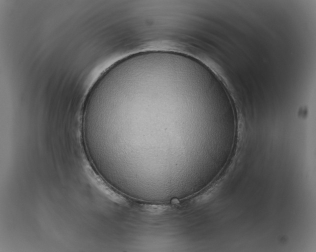 X0000111490854200907281225