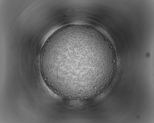 X0000111490855200907281225