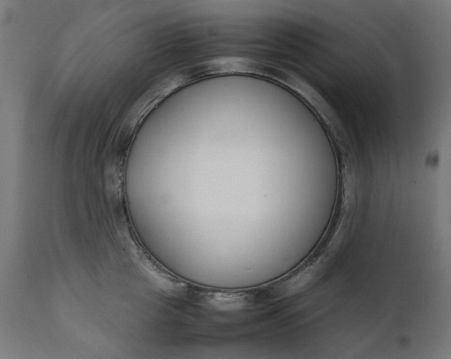 X0000111490857200907281225