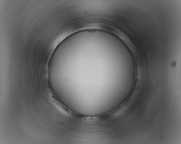 X0000111490858200907281225