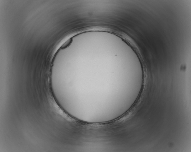 X0000111490860200907281225