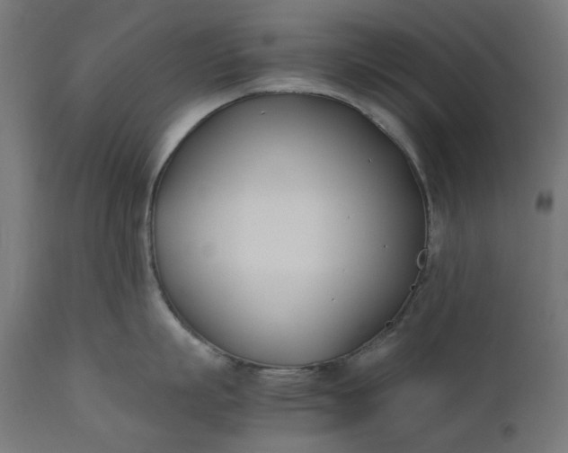 X0000111490863200907281225