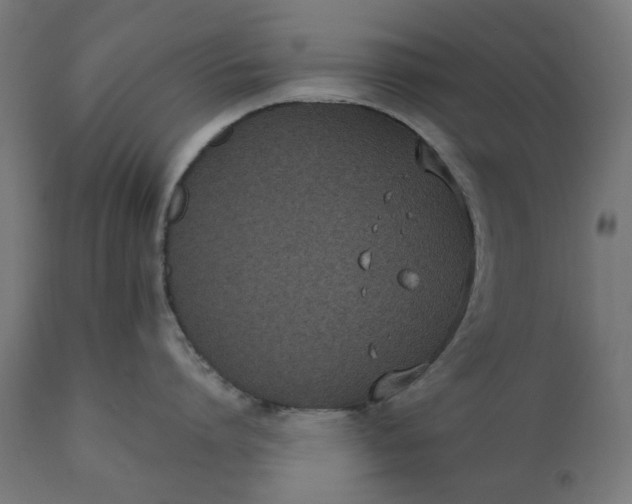 X0000111490864200907281225