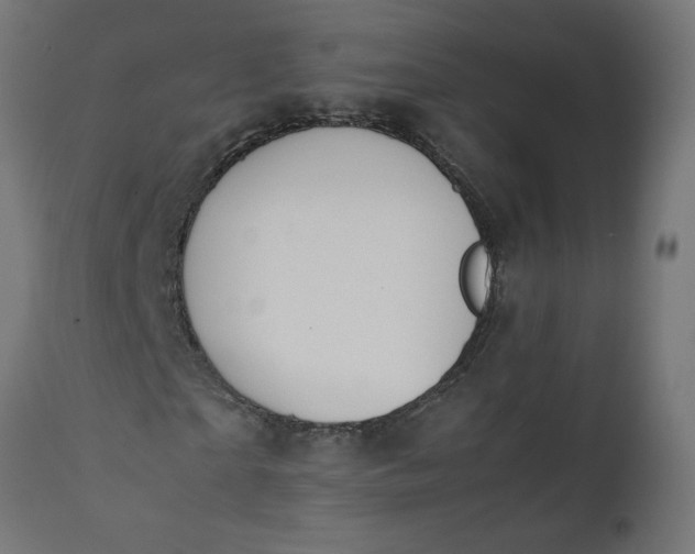 X0000111490865200907281225