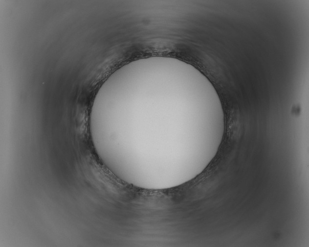 X0000111490866200907281225