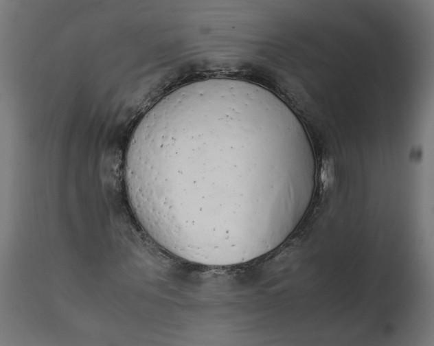 X0000111490867200907281225