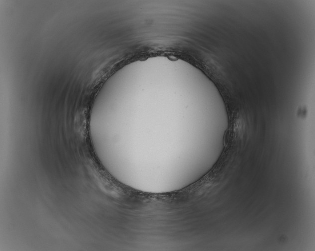 X0000111490868200907281225