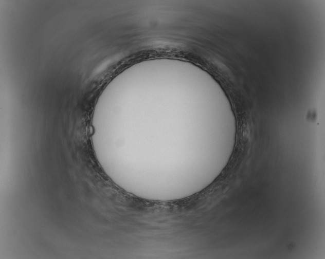 X0000111490869200907281225