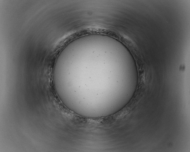 X0000111490870200907281225